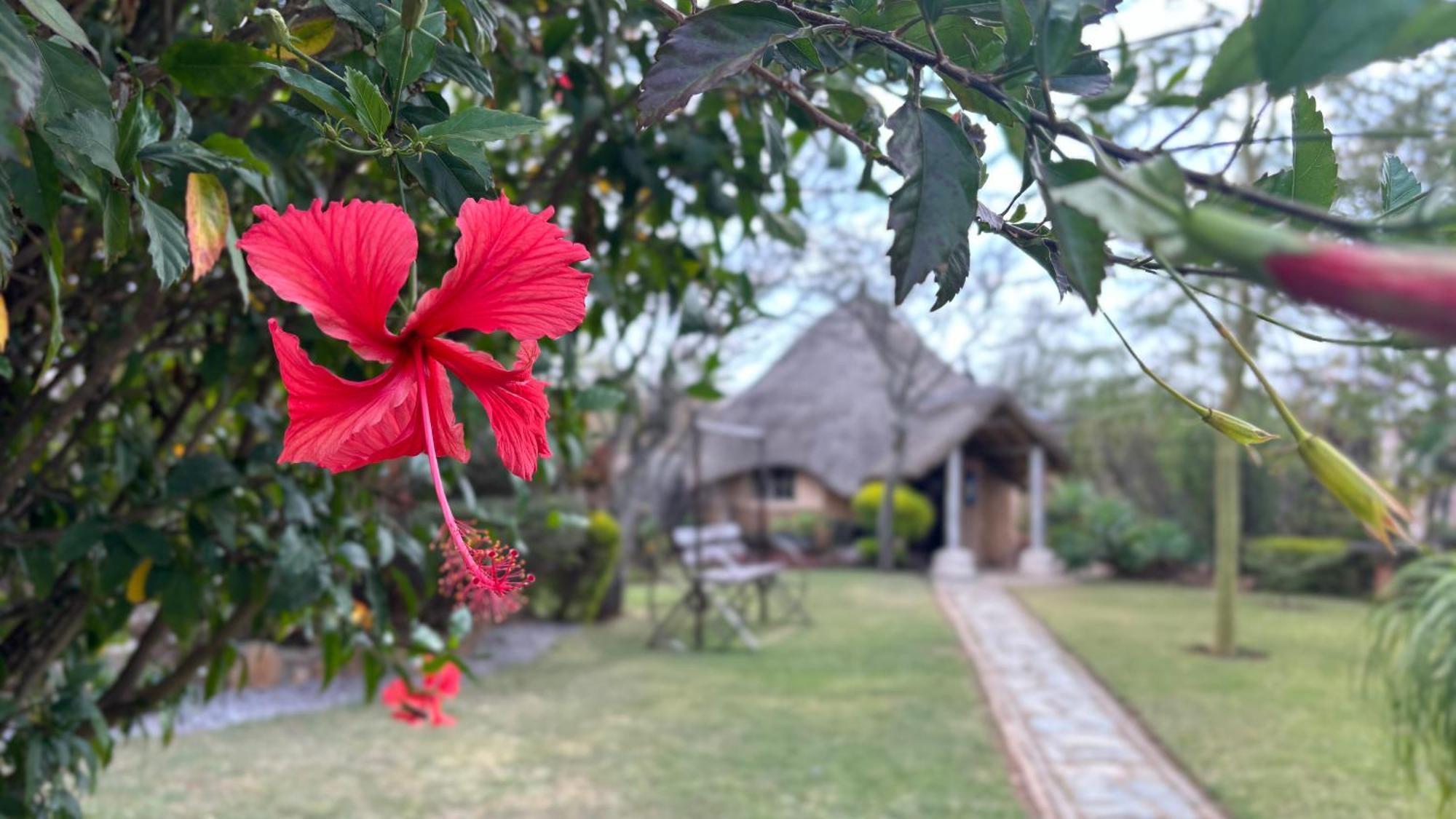 Lynns Guest House Bulawayo Ngoại thất bức ảnh